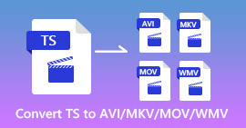 TS ל- AVI MKV MOV WMV