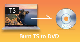 TS til DVD