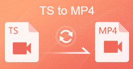 TS à MP4