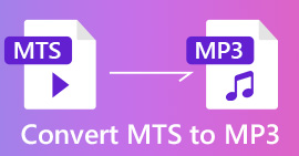 MTS ל- MP3
