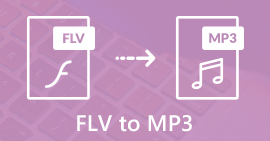 FLV ל- MP3