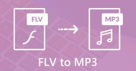 FLV a MP3