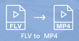 FLV à MP4