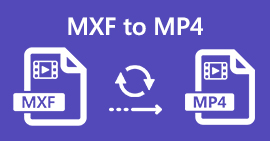 MXF به MP4