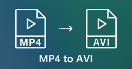 MP4からAVIへ