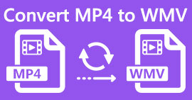 MP4 naar WMV