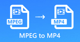 MPEG în MP4