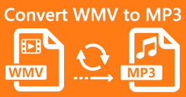 WMV a MP3