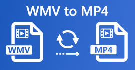 WMV को MP4
