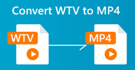 WTVからMP4