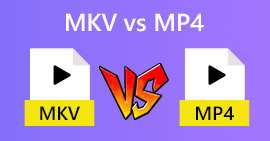 MKV مقابل MP4