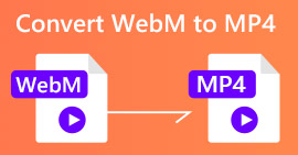 WebM til MP4