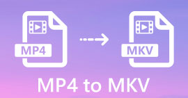 MP4 إلى MKV
