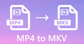 MP4 to MKV