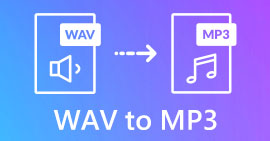 WAV naar MP3