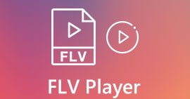 Riproduttore di file FLV