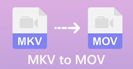 MKV إلى MOV