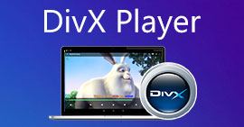 Přehrávač DivX