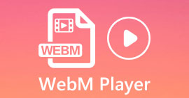 WebM Player