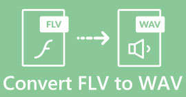 FLV to WAV