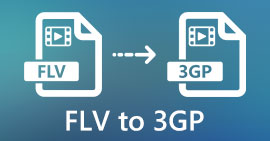FLV to 3GP