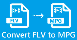 FLV a MPG