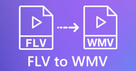 FLV para WMV