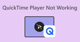 QuickTime Player Not Working