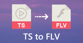 TS till FLV