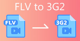 FLV'den 3G2'ye