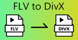 FLV para DivX