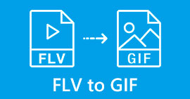FLV to GIF