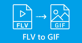 FLV เป็น GIF