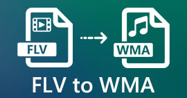 FLV to WMA