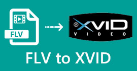 FLV to Xvid