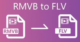 RMVB to FLV