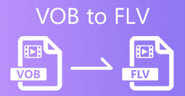 VOB เป็น FLV