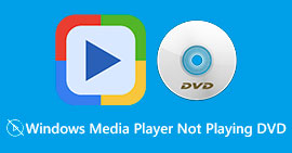 Windows Media Player 不播放 DVD