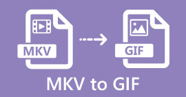 MKV إلى GIF