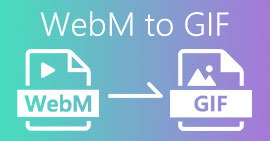 WebM en GIF