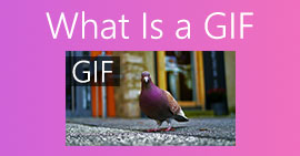 Wat is een GIF