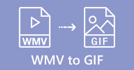 WMV를 GIF로