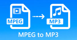 MPEG către MP3