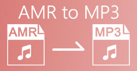 AMR til MP3