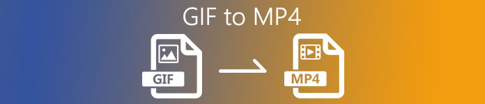 GIF MP4