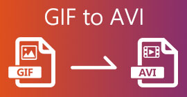 GIF 转 AVI