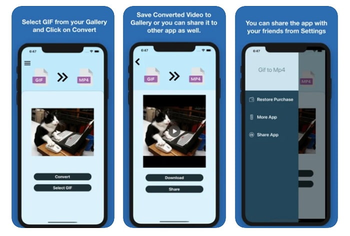 GIF To MP4 App