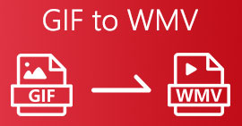 WMV'ye GIF