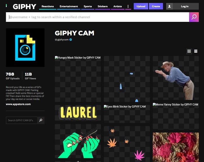 Kamera Giphy