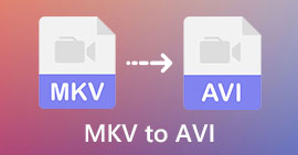 MKV till AVI